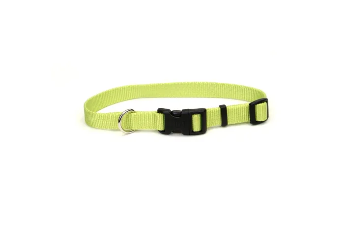 Adjustable Dog Collar With Plastic Buckle - Lime S