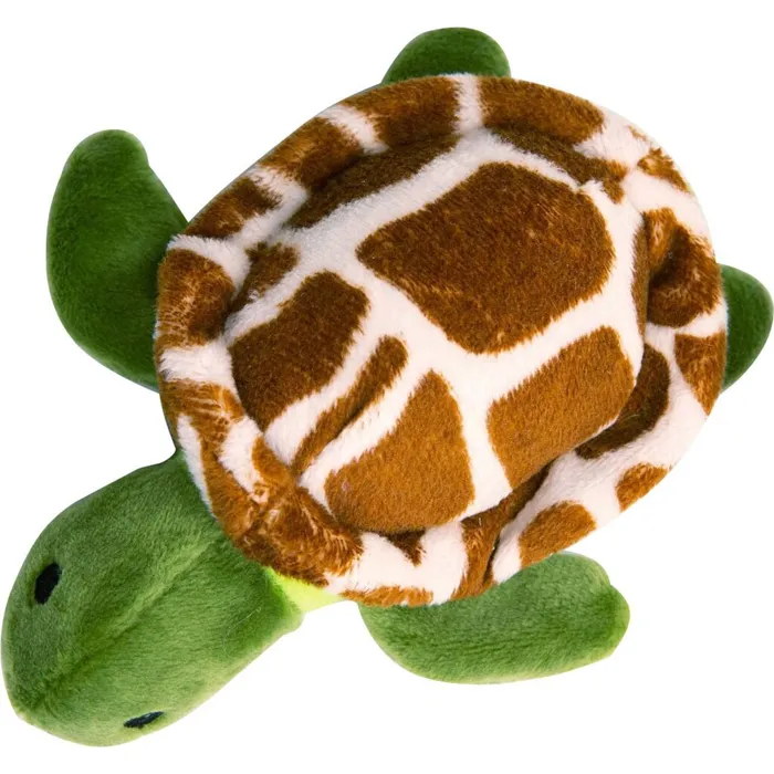 Baby Shelldon