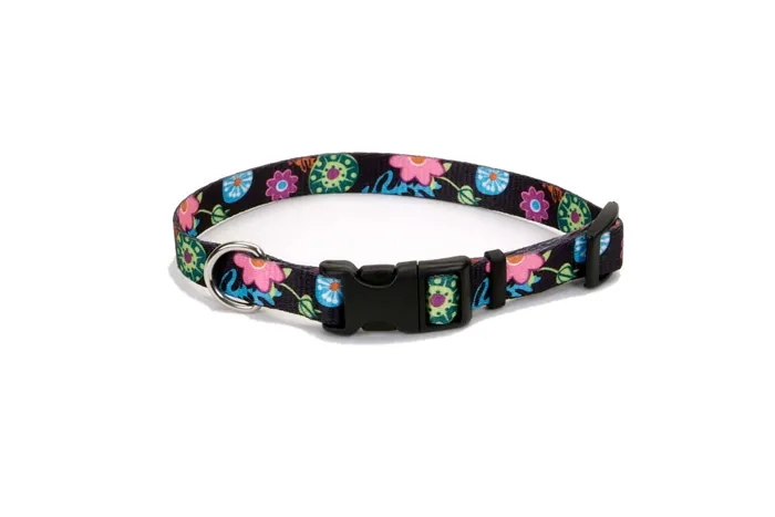 Adjustable Dog Collar Wildflower 3/4" X 14 - 20"