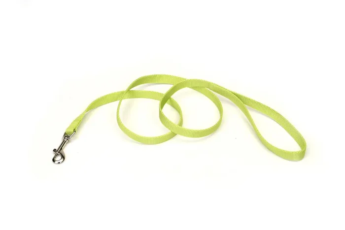 Single Ply Dog Leash - Lime 1" X 06'