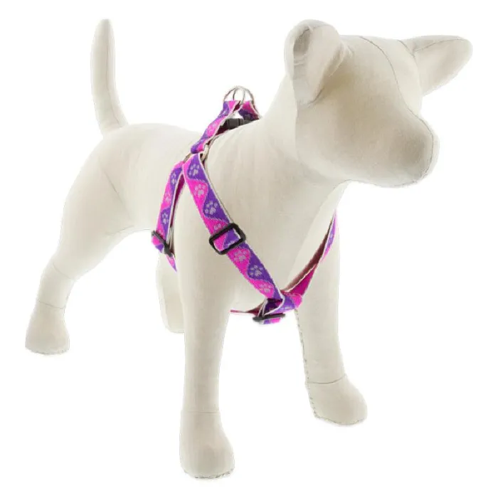 Hl 1in Pink-paws 19-28 Step In Hrns