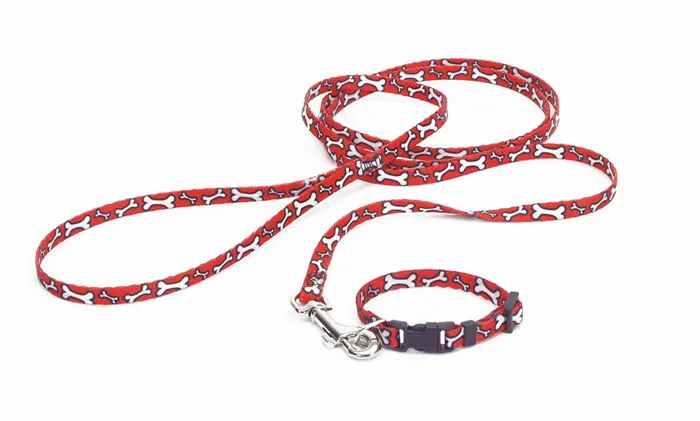 Patterned Dog Leash With E Z Snap - Red And White