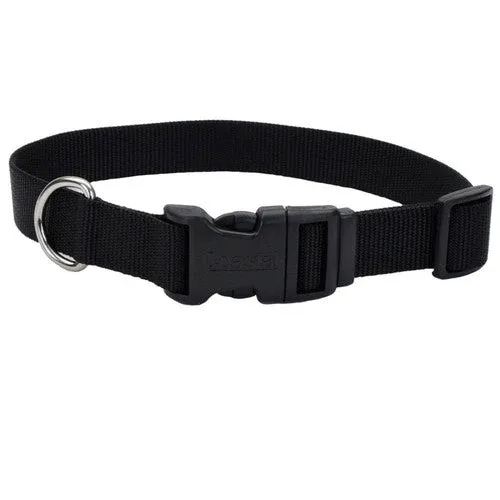 Adjustable Dog Collar With Plastic Buckle Black Xsml - 3/8" X 8"-12"