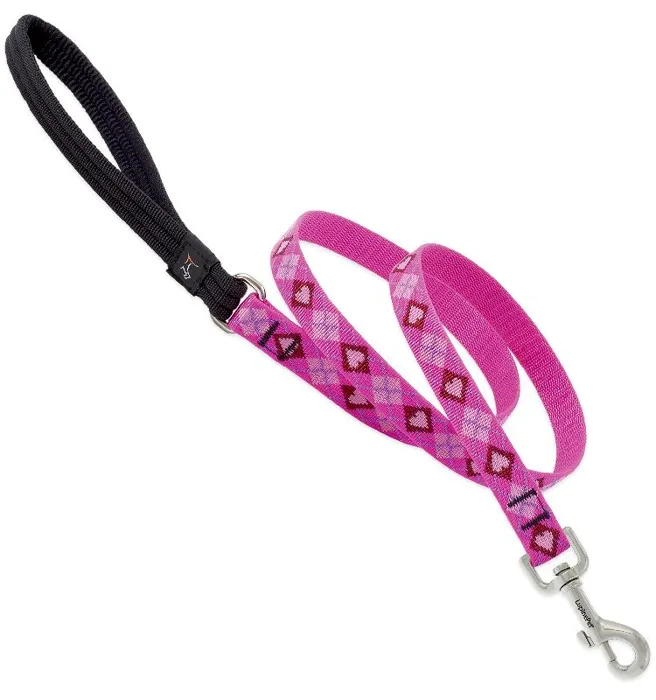 Lead 4' X 1" Puppy Love Pattern