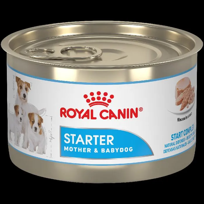 Rc Mother/bbydog Mousse 24/5.1z