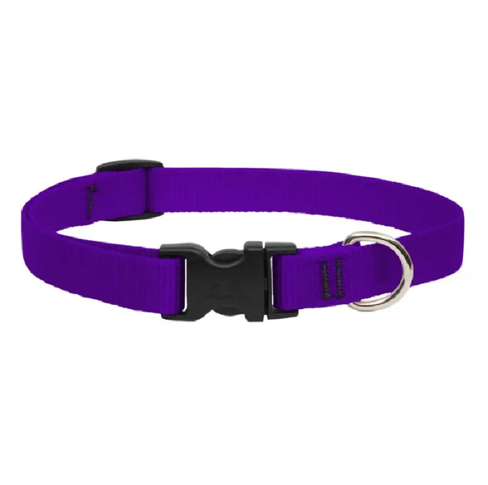 Lupine 3/4" Martingale Collar Purple 14"-20"