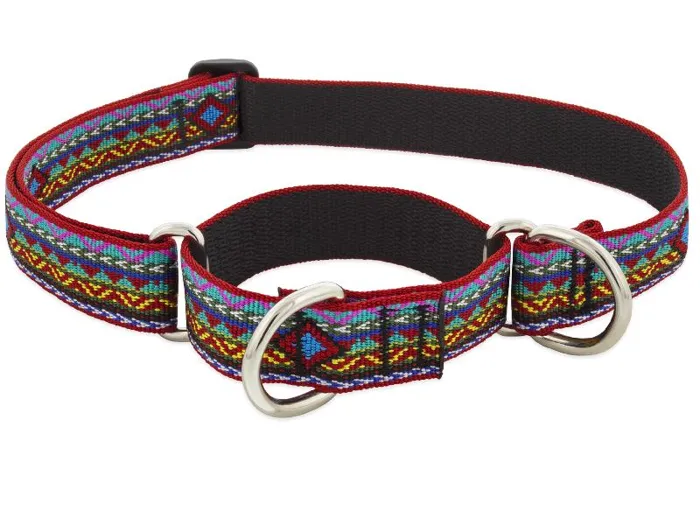 1in El Paso 15-22 Martingale