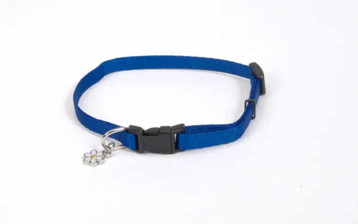 Adjustable Dog Collar - Blue 3/8" X 06"-08"
