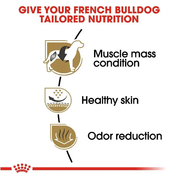17# Rc Bhn French Bulldog