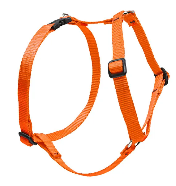 Lupine 1" Blaze Orange 20-30" Roman