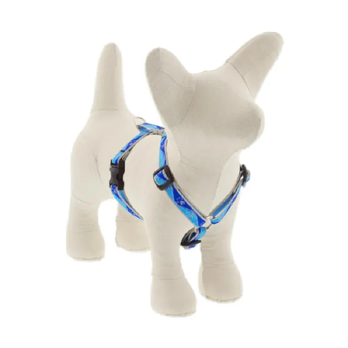 Hl 1/2in Blue-paws 10-13 Step In Hrns