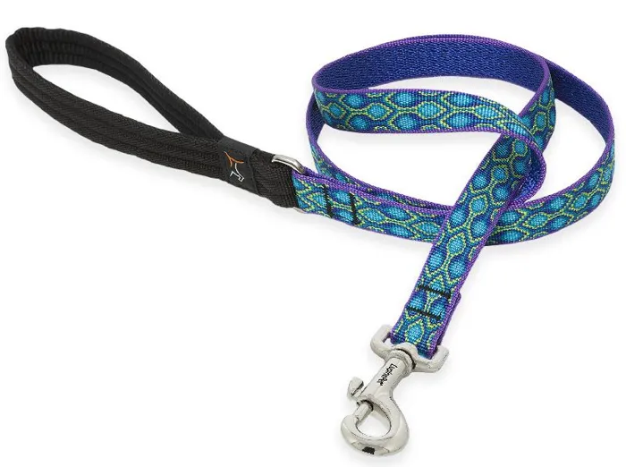 3/4in Rain Song 6ft Leash