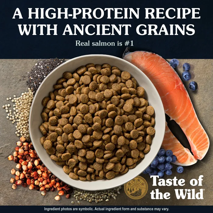 Ancient Stream Smoked Salmon & Ancient Grain Recipe Dry Dog Food 14-lb