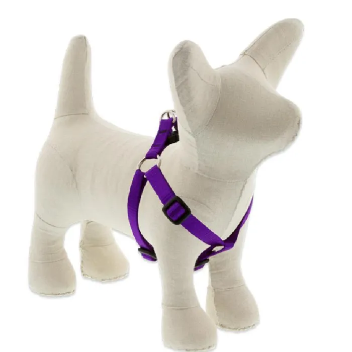 Lupine Solids - Harness 1/2" Purple 10 - 13"