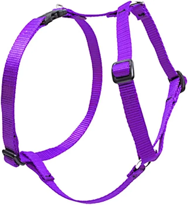 Roman Harness 1/2" Purple 9"-14"