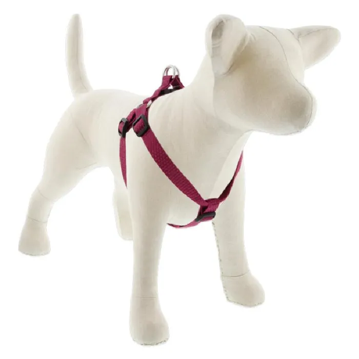 Lupine 3/4" Berry 20"-30" Step In Harness