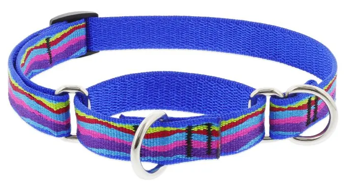 Lupine Martingale 15-22" Ripple Creek