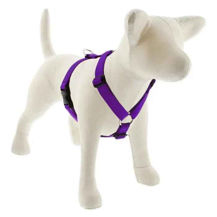 Lupine Basics Roman Harness 24-38" Purple 1"
