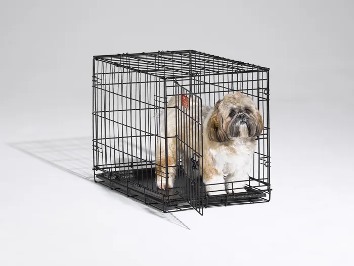 I-crate Single Door Folding Dog Crate 24"x18"x19"
