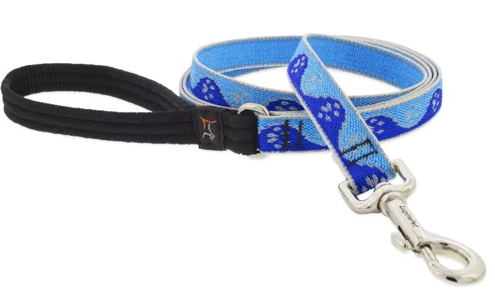 Lupine 3/4" Reflective Blue Paws Leash 6 Foot