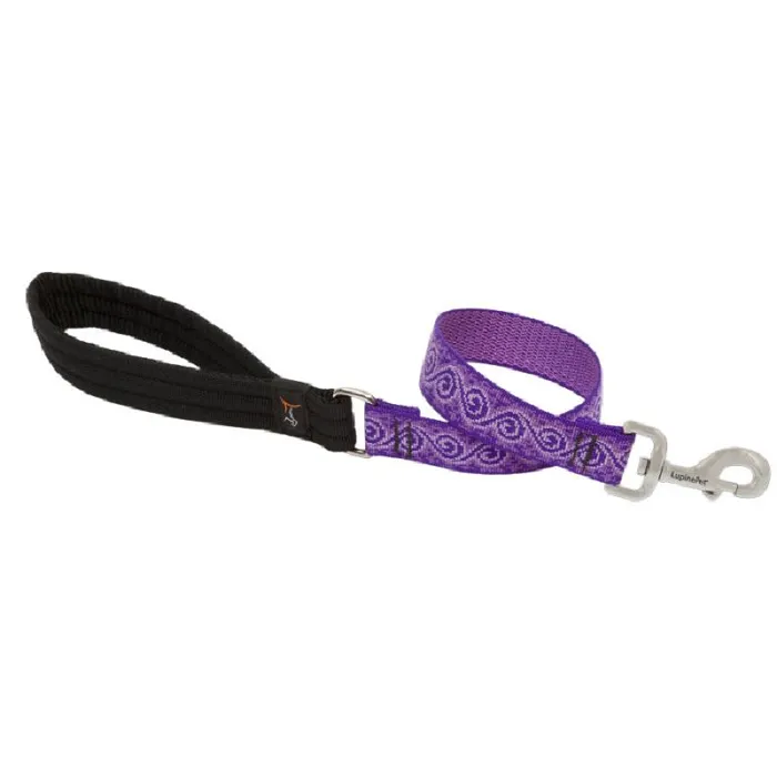 1" Jelly Roll 2' Lead