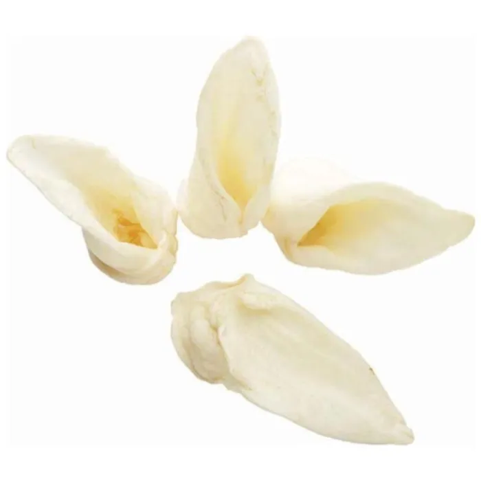 Natural Lamb Ear