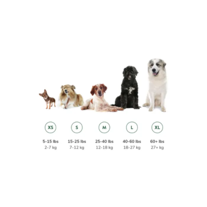 Whimzees Brushzees Large Single