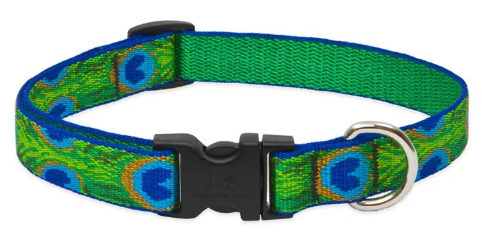 Lupine 1" Tail Feathers 16"-28" Adj. Collar