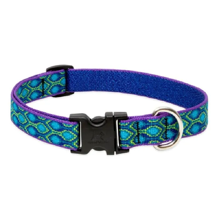 Lupine 3/4" Rain Song 13"-22" Adjustable Collar