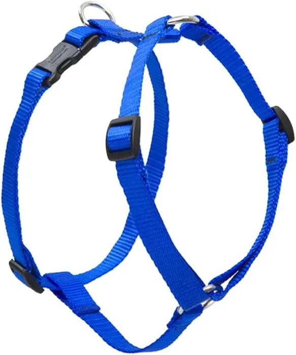 Lupine Basics Roman Harness Blue 24"-38"x1"