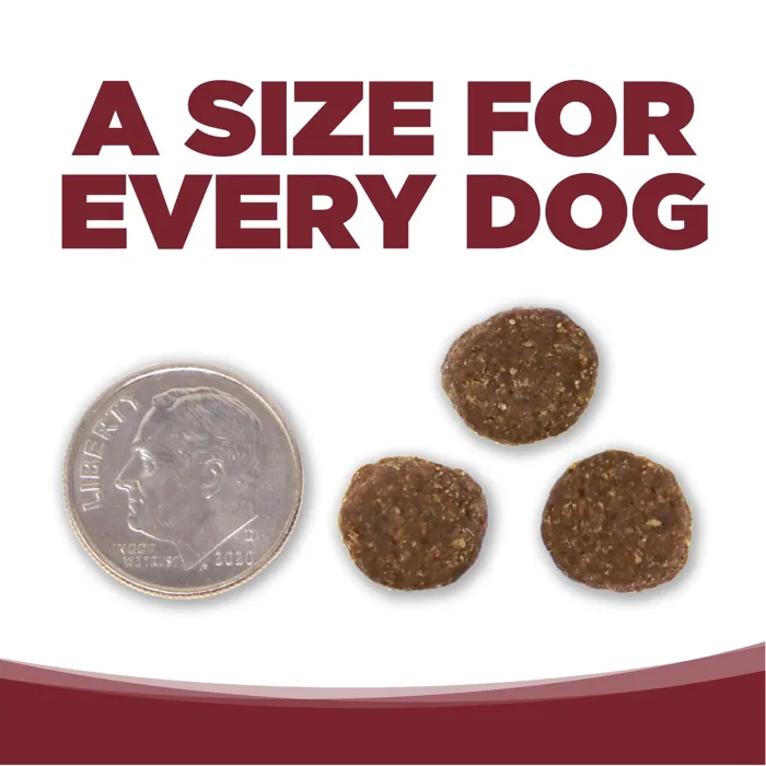 Nutrisource Dog Adult Beef & Rice 12-lb