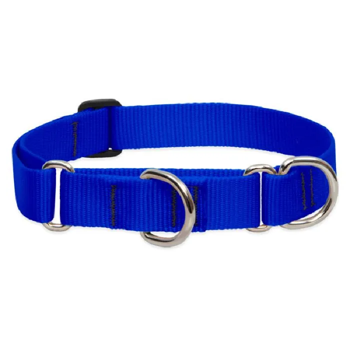 Lupine Combo Collar 1" 15-22" Blue