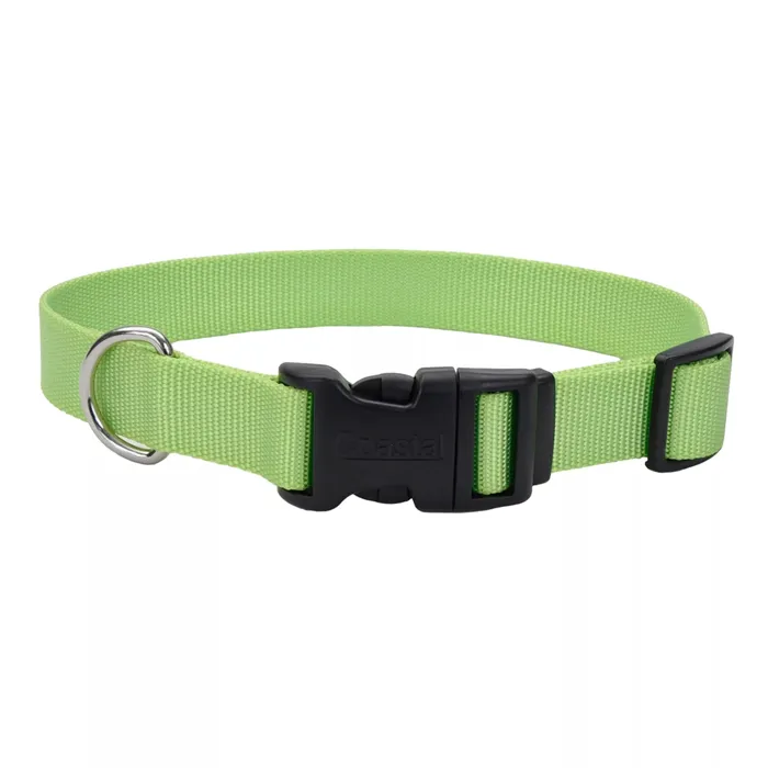 Adjustable Dog Collar With Plastic Buckle Lime Med - 3/4" X 14"-20"