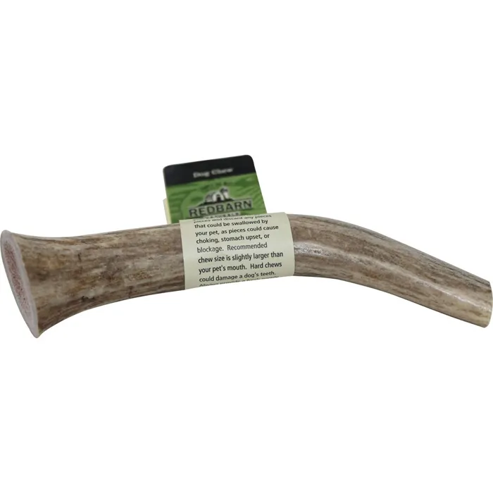 Whole Elk Antler - Lrg