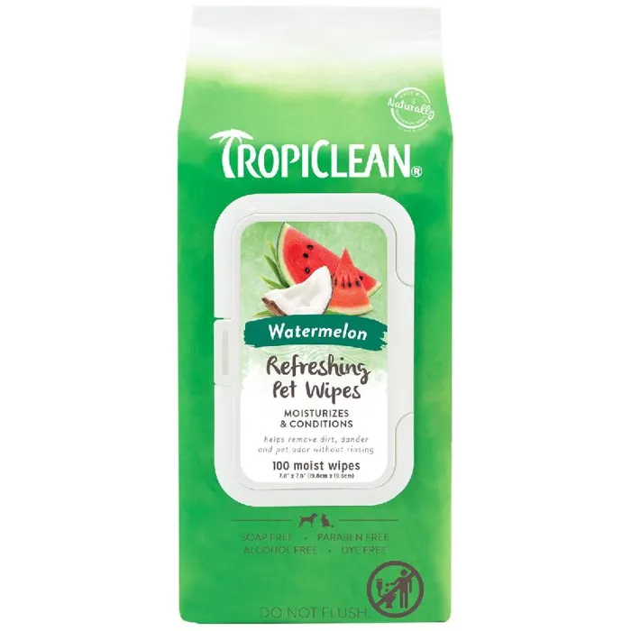 Watermelon 2 In 1 Wipes - 100 Ct