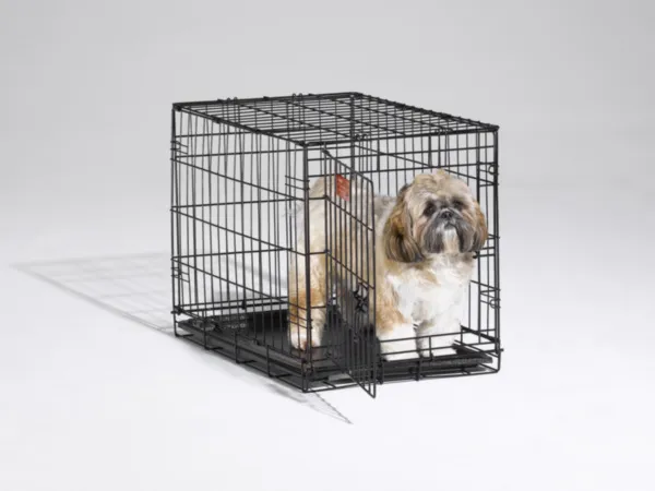 I-crate Single Door Folding Dog Crate 24"x18"x19"