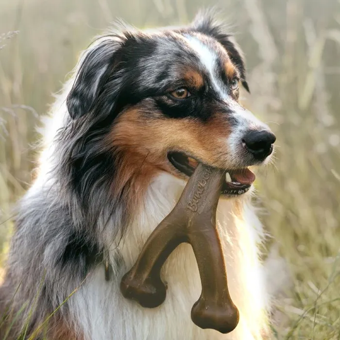 Benebone Dog Wishbone Peanut Butter Medium