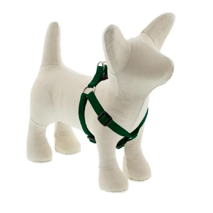 Lupine 1/2" Step In Harness Green 12"-18"