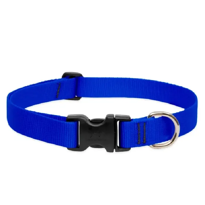 Lupine Collar 16"-28" Blue Basic Blue 16"-28" 1"