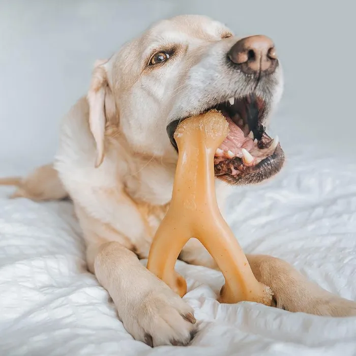 Benebone Rotisserie Chicken Flavored Wishbone Dog Chew Toy Large