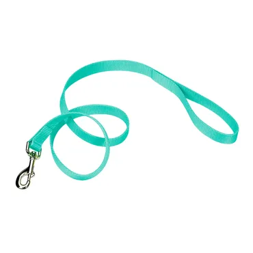 Single-ply Dog Leash Teal Sml - 5/8" X 6'