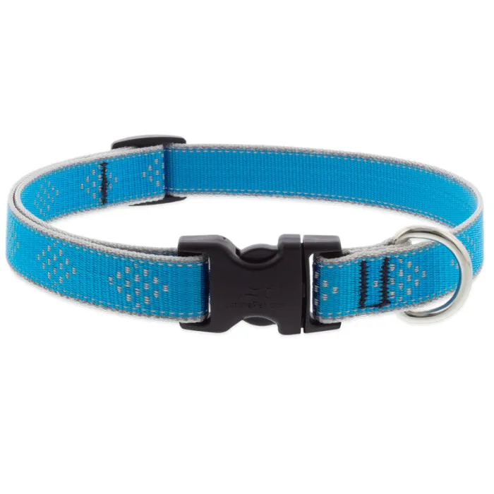 Lupine 3/4in Hl Blue-diamond 15"-25"