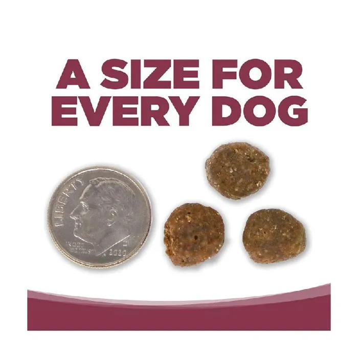 Pure Vita Dog Lid Salmon & Kale 25-lb