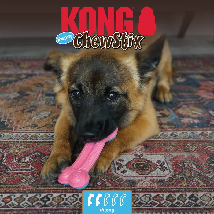 Kong Chew Stix Puppy Curve Bone Medium