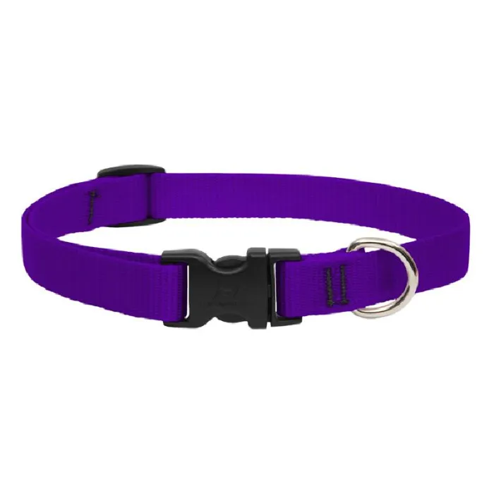 Lupine Adjustable Collar 3/4" 9-13" Purple