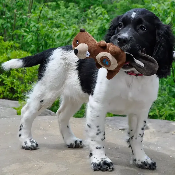Paw Plush Dog Toys - Squirrel 5"
