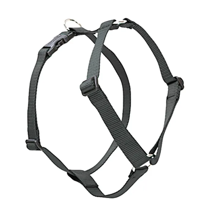 Lupine Basics Roman Harness 12-20" Black 3/4"