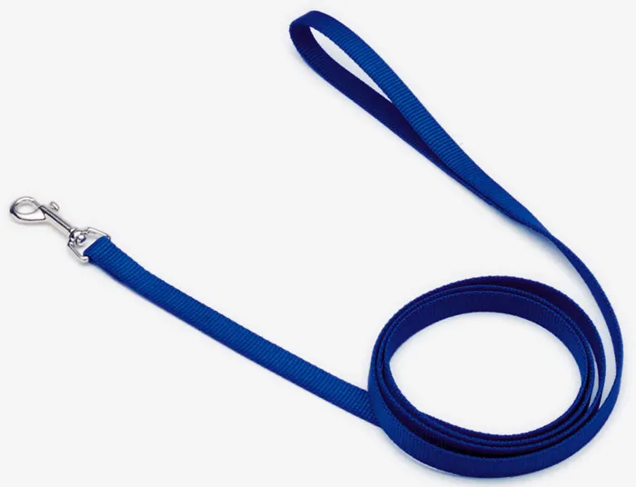 Single Ply Dog Leash - Blue 3/4" X 6'