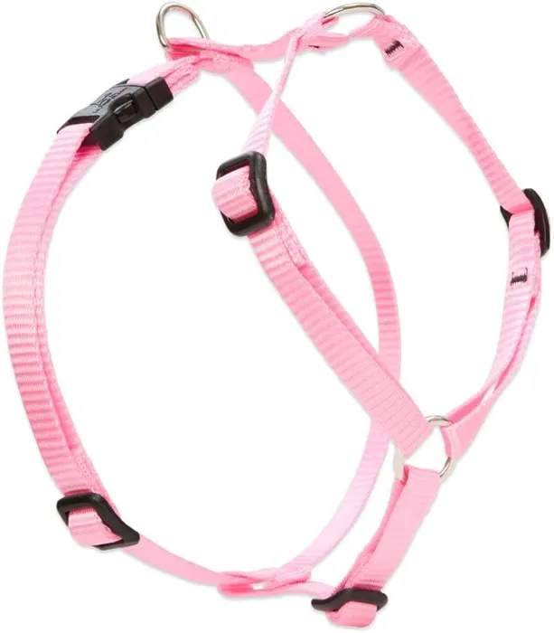 Lupine 1/2" Pink 9-14" Roman