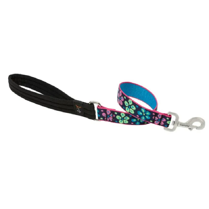 Lupine 1" Flower Power 2' Lead